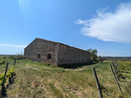 Hôpital de sang