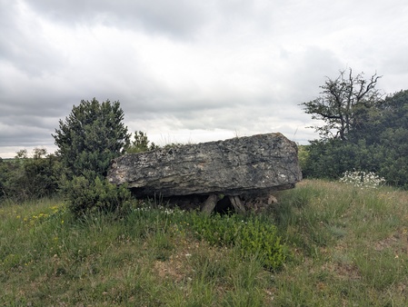 Dolmen de Peyrelevade Dolmen de Peyrelevade