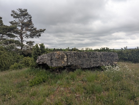 Dolmen de Peyrelevade Dolmen de Peyrelevade