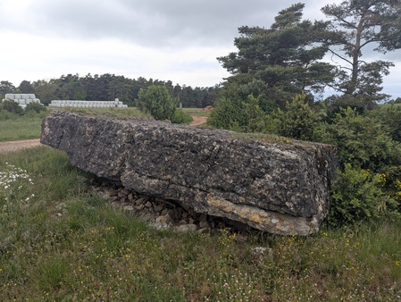 Dolmen de Peyrelevade Dolmen de Peyrelevade