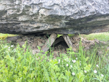 Dolmen de Peyrelevade Dolmen de Peyrelevade