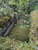 Dolmen des Bouscaillous