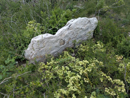 Dolmen de Combecrose (A) Dolmen de Combecrose (A)
