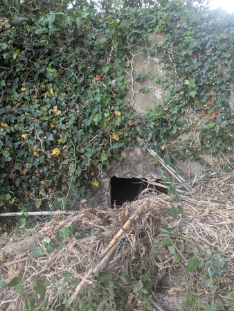 Bunker