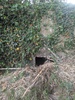 Bunker