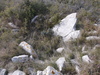 Dolmen de Puech Rouquier