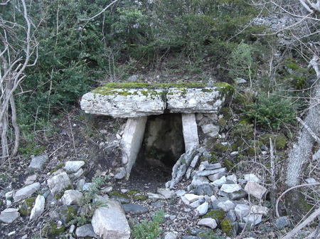 Dolmen du Mas Trinquier Dolmen du Mas Trinquier