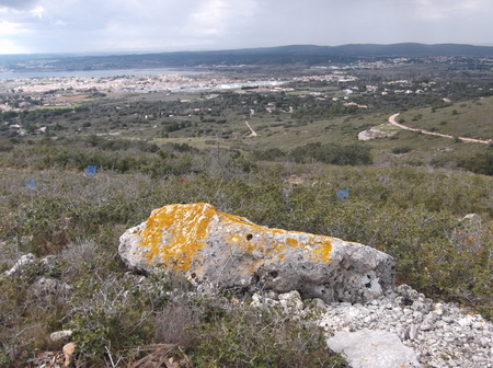 Menhir du Pioch de Roumanis Menhir du Pioch de Roumanis