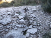 Dolmen de Viastre