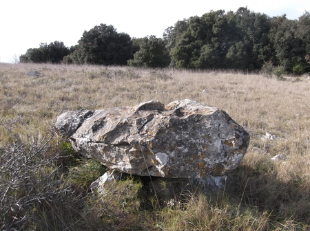 Menhir des Chênes Menhir des Chênes