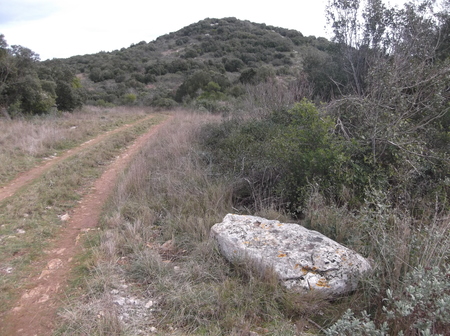 Menhir du Grand Puech Menhir du Grand Puech
