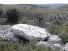 Dolmen du Conseil