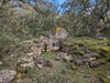 Dolmen de la Roquette