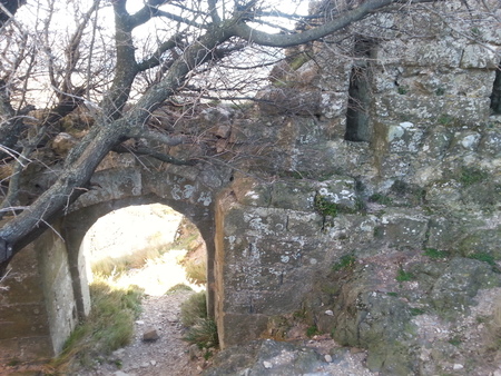 Mas en ruine Mas en ruine