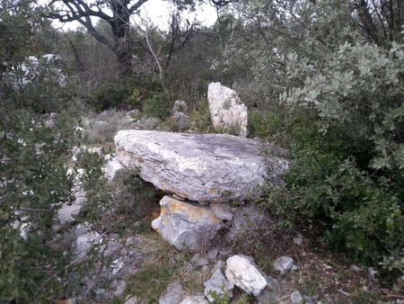 Dolmen de la Bergerie de Lamalou 1 Dolmen de la Bergerie de Lamalou 1
