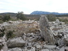 Dolmen de la Bergerie de Lamalou 2