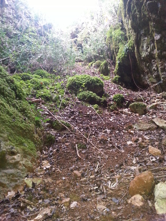 La grotte sous la route