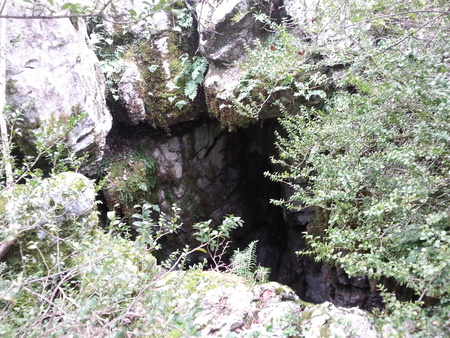 Aven des nymphes Aven des nymphes