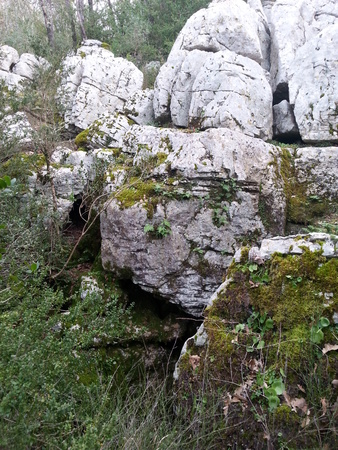 Aven des nymphes Aven des nymphes