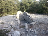 Dolmen du Grand Juyan de la Figarède