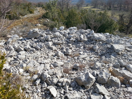 Tumulus de la Bergerie de l'Hortus Tumulus de la Bergerie de l'Hortus