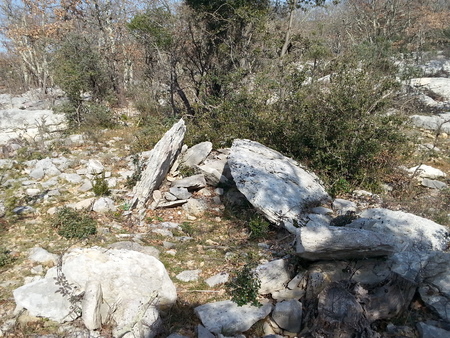 Dolmen de la Bergerie de l'Hortus