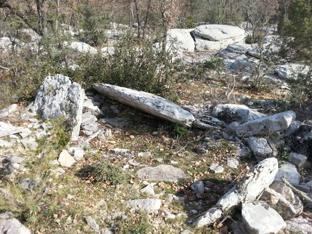 Dolmen de la Bergerie de l'Hortus