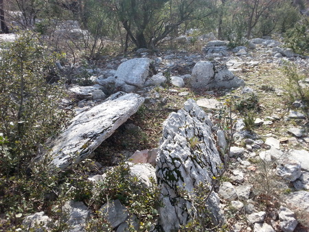 Dolmen de la Bergerie de l'Hortus