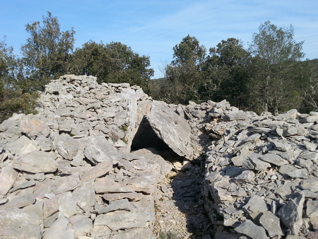 Dolmen des Camps