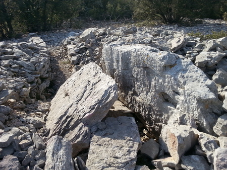 Dolmen des Camps