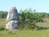 Menhirs du Coulet