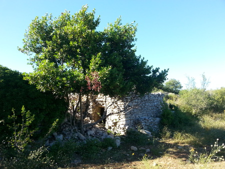 Capitelle Capitelle