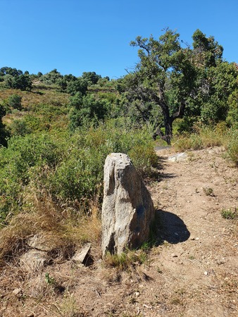 Menhir de la Casa Cremada III Menhir de la Casa Cremada III