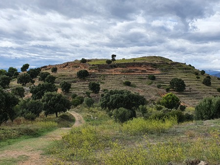 Castrum de Puig Rom Castrum de Puig Rom