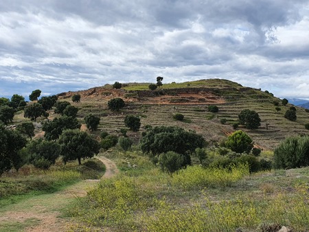 Castrum de Puig Rom