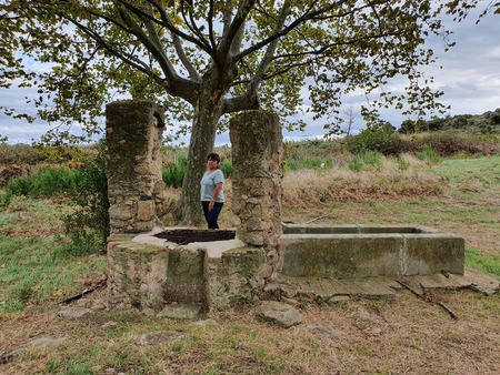 Mas Marès Mas Marès