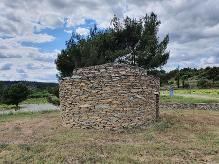 Capitelle Églantine