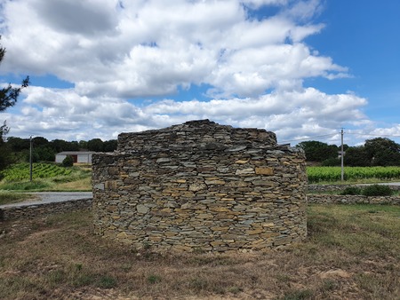 Capitelle Églantine