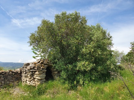 Capitelle Capitelle