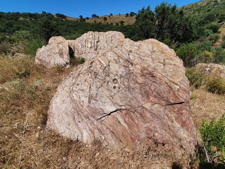 Inscultures de Planells Inscultures de Planells