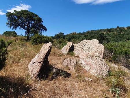 Inscultures de Planells Inscultures de Planells