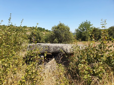 Dolmen du Cayroux