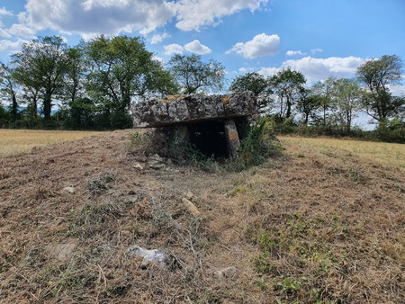 Dolmen de Buzareingues Dolmen de Buzareingues