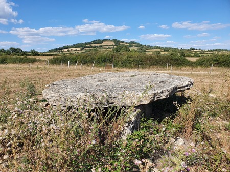 Dolmen de Surguières Dolmen de Surguières