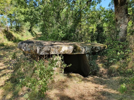 Dolmen de Concoules 1 Dolmen de Concoules 1