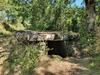 Dolmen de Concoules 1