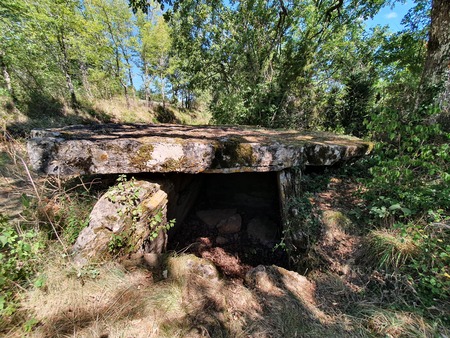 Dolmen de Concoules 1 Dolmen de Concoules 1