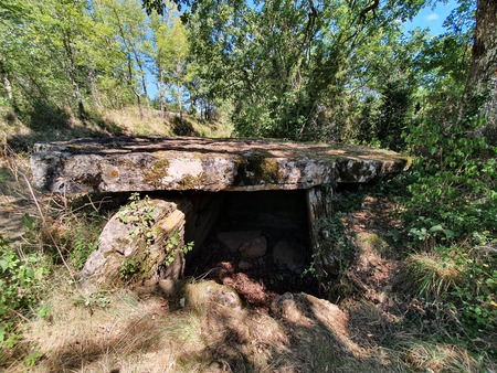 Dolmen de Concoules 1