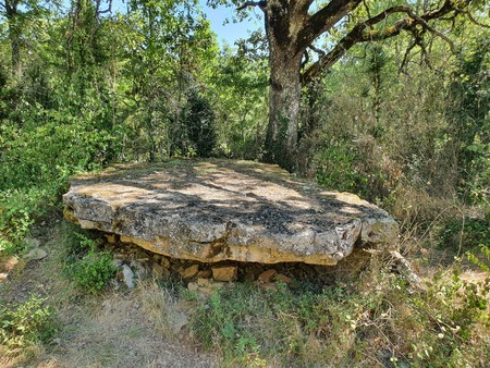 Dolmen de Concoules 1