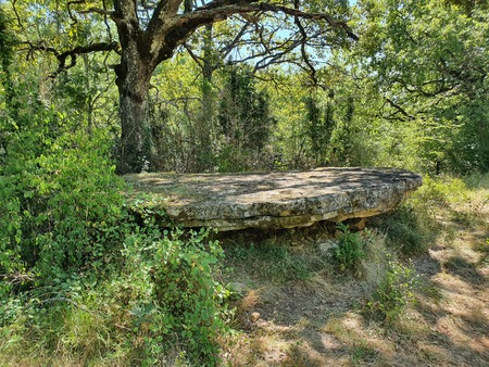 Dolmen de Concoules 1